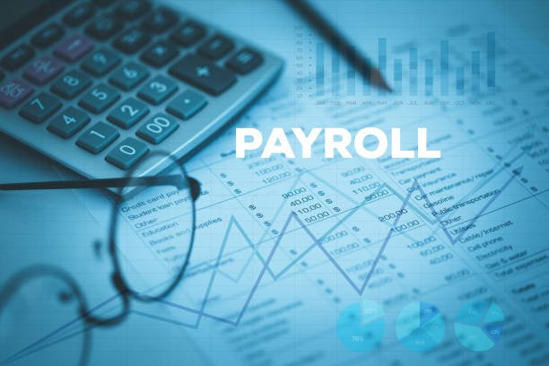 Workshop: Basics of Payroll Administration and Software